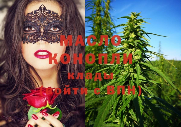 дживик Новозыбков