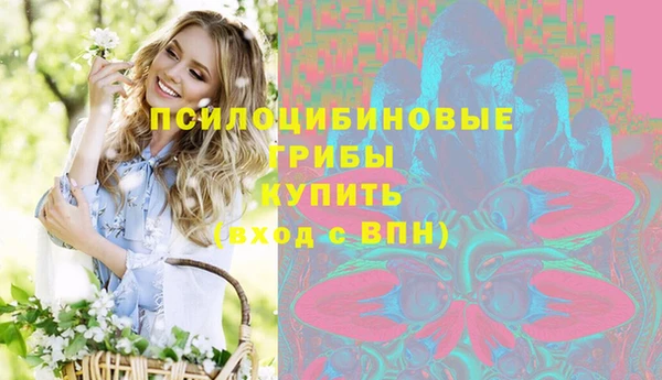 дживик Новозыбков