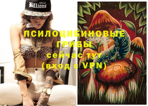 дживик Новозыбков