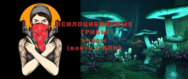 дживик Новозыбков