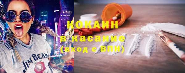 дживик Новозыбков