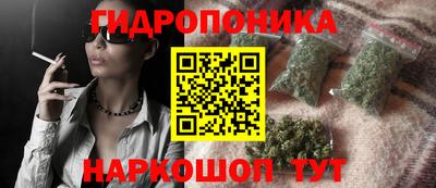 прущие крисы Камышлов