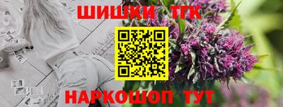 прущие крисы Камышлов