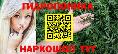 прущие крисы Камышлов