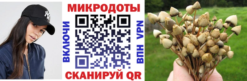 Галлюциногенные грибы прущие грибы  Саянск 