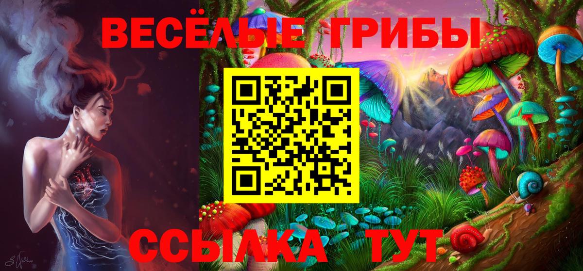 Псилоцибиновые грибы прущие грибы Саянск